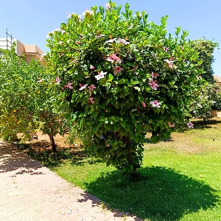 Vakantiehuis Garden House Mondello Palermo