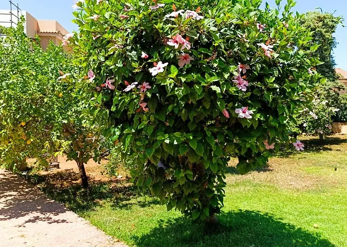 Semesterbostad Garden House Mondello Palermo