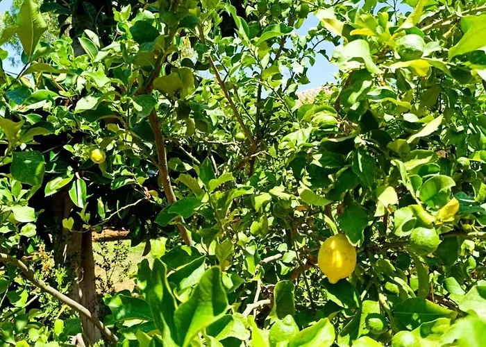 Garden House Mondello * Palermo